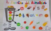 PROGETTO_ALIMENTAZIONE_CLASSI_5A-5B_PLESSO_ALOI